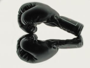 enterprise email marketing knocks out social boxing gloves
